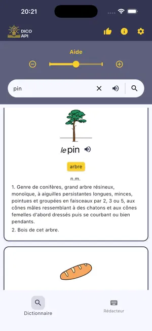 Dico API screenshot 2