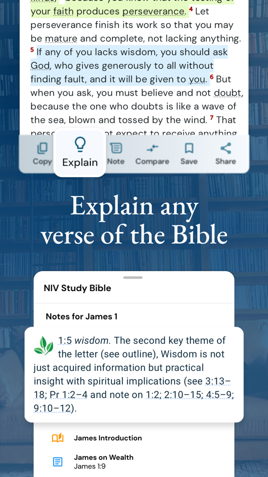 #5. NIV Bible (iOS) 由: NIV Bible App, LLC