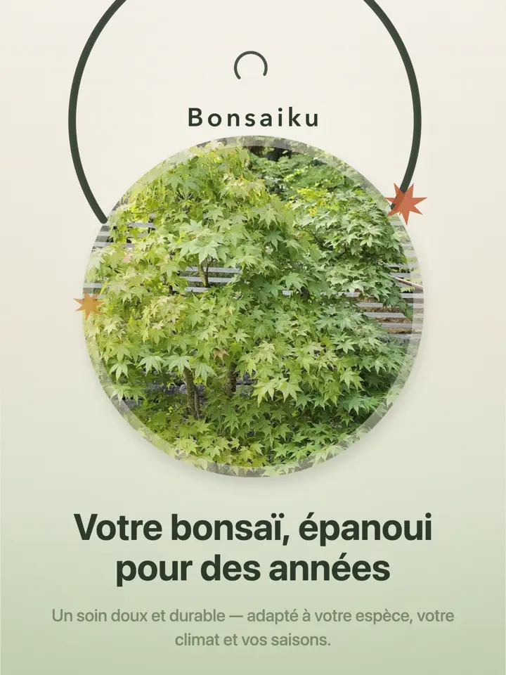 Bonsaiku sur iPad : capture d’écran 1 sur 7