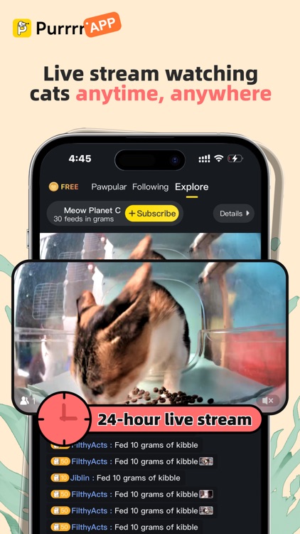 Purrrr-Feed&Rescue Stray Cats