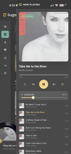 SugarSpin Music screenshot 3