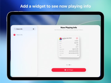 Music Info — Song Metadata iPad screenshot