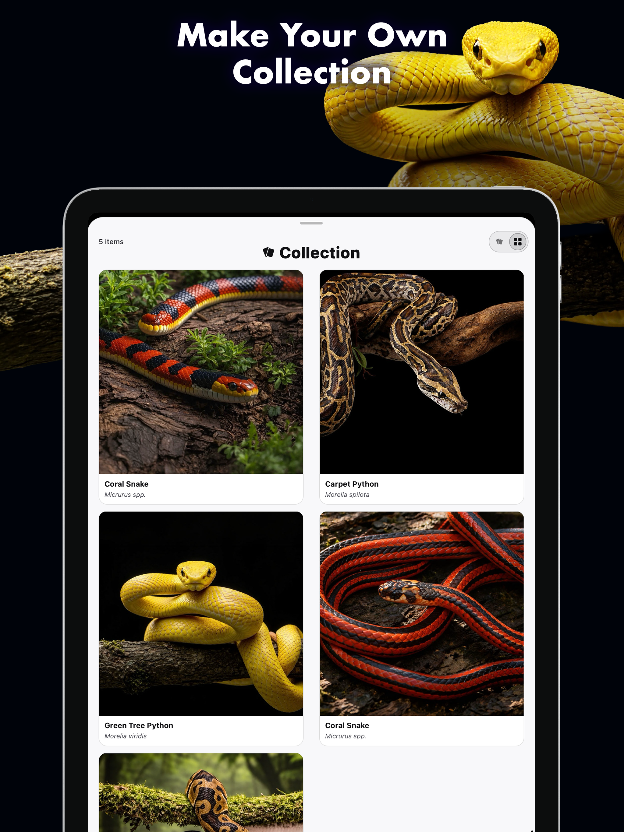 Snake Identifier | Venom Scan screenshot 7
