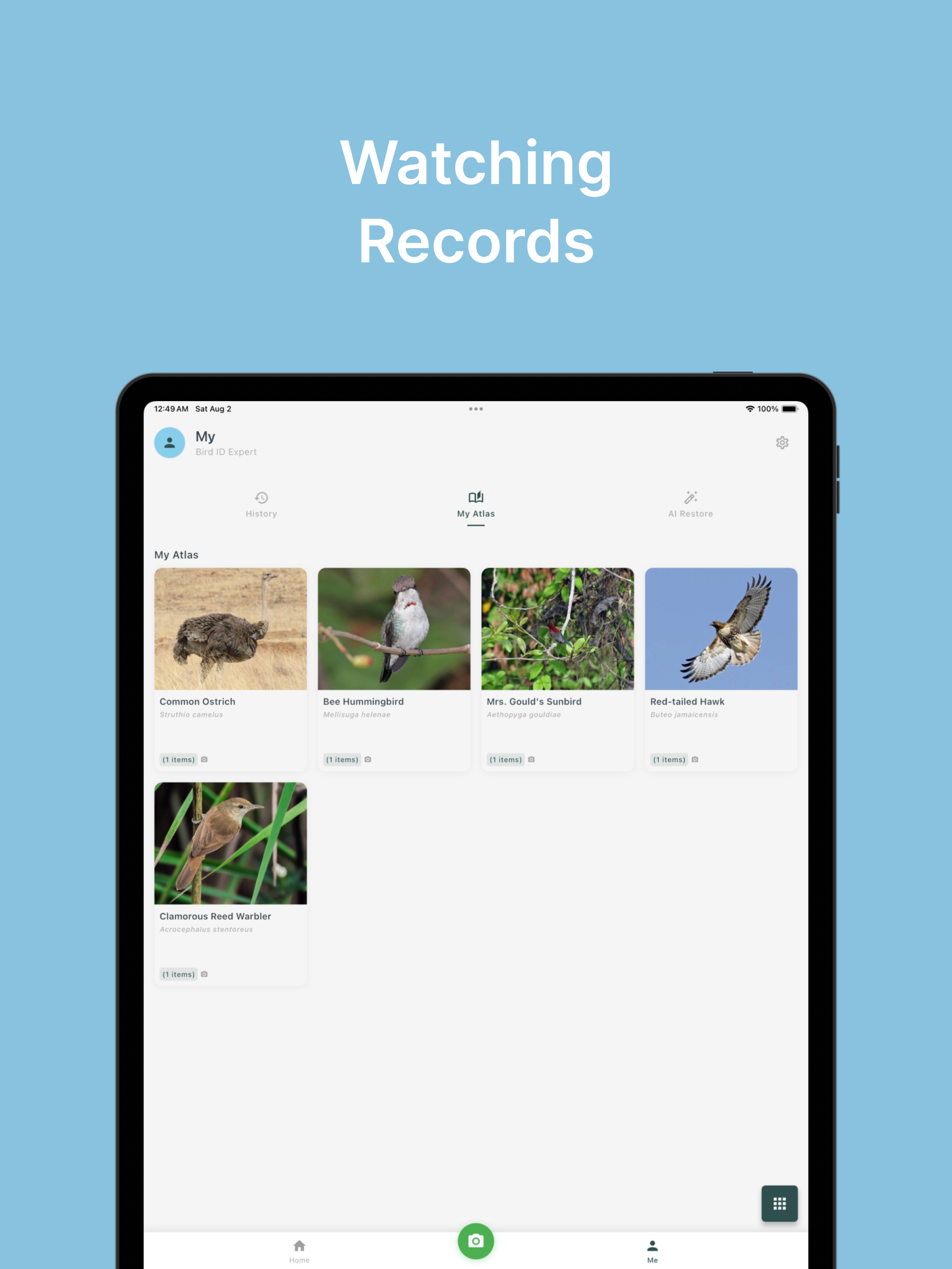 BirdLens: Bird Identifier