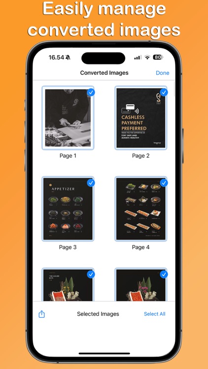 PDF to PNG Converter ™