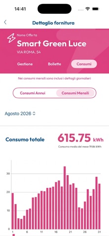 Union Gas e Luce Screenshot 4 of 5