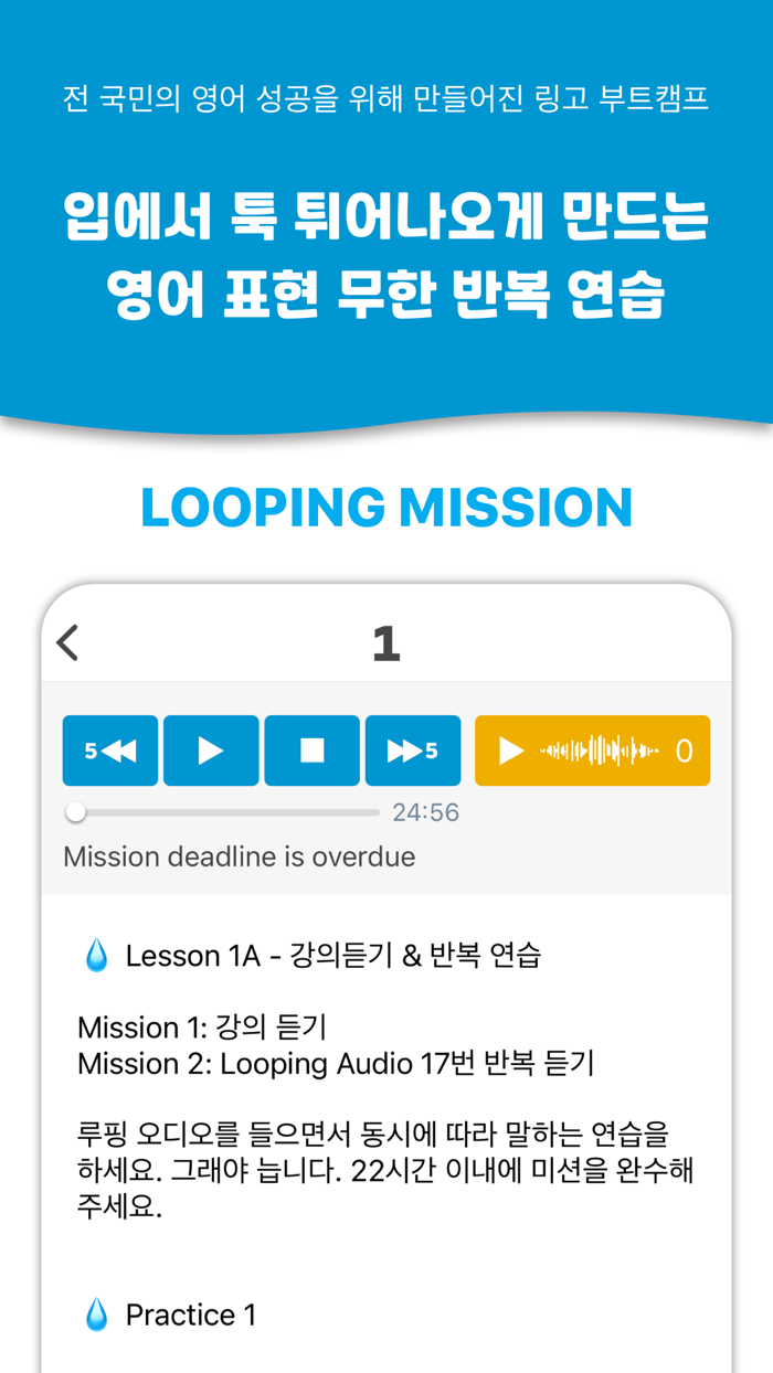 Lingo Bootcamp Master English