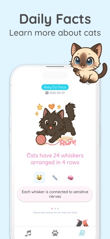 Cat Come Screenshot 3 of 3