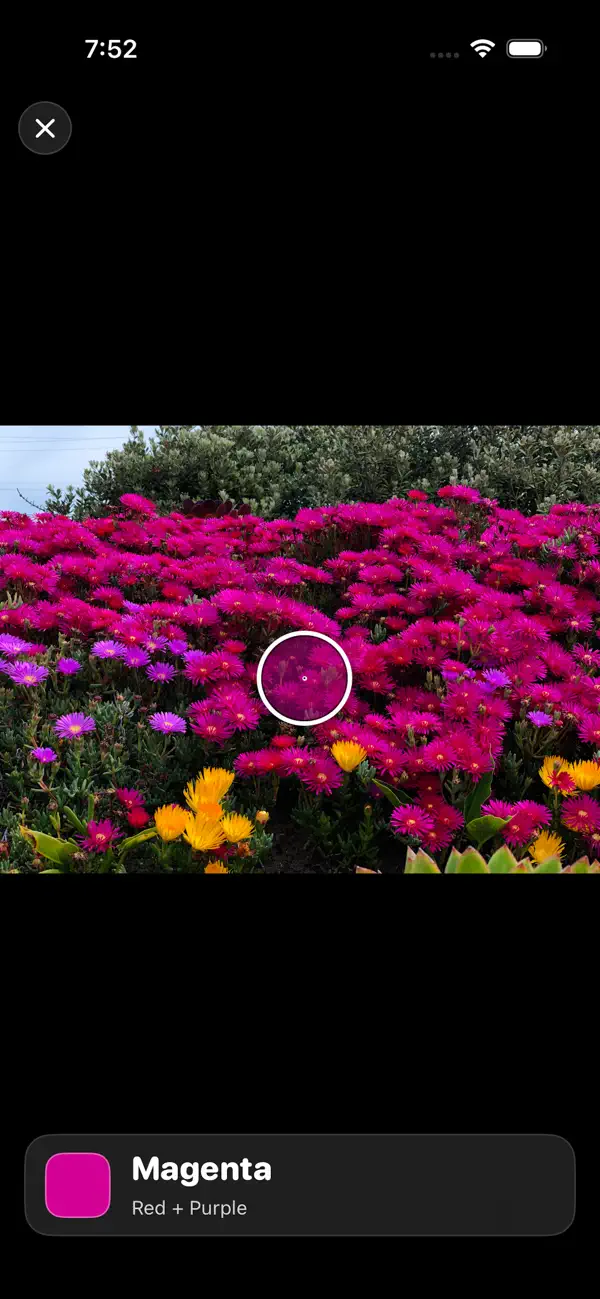 Screenshot #1 pour I Can See!