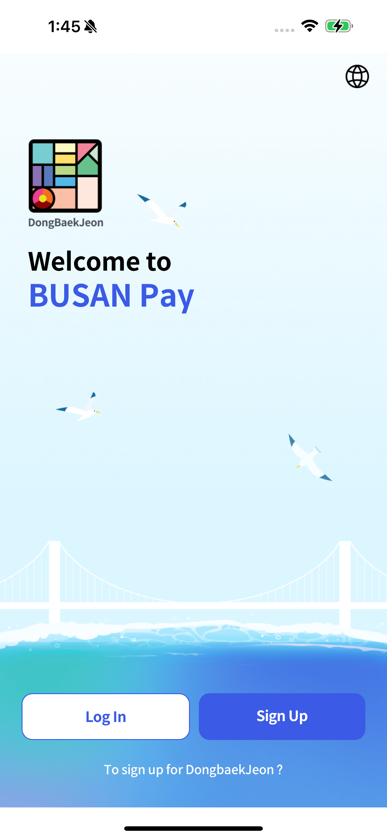 BUSAN Pay