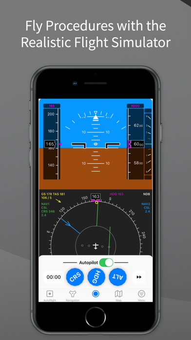 IFR Flight Simulator Screenshot