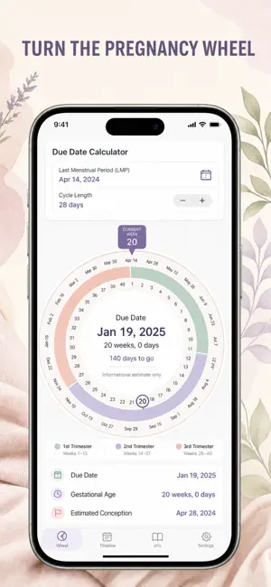 Pregnancy Wheel Due Date screenshot 3