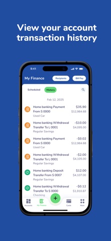 316 Financial Screenshot 3 of 5