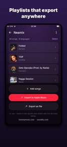SongSense: Lyrics Translated screenshot