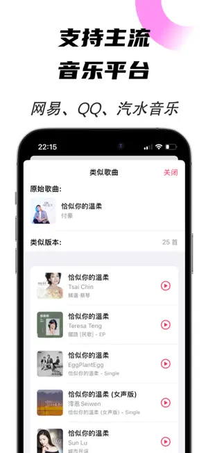灵动歌单 - 桌面歌词&歌单一键迁移专属音乐播放 screenshot 3
