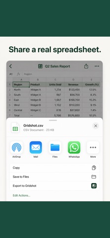 Gridshot: Scan to Spreadsheet Screenshot 3 of 3