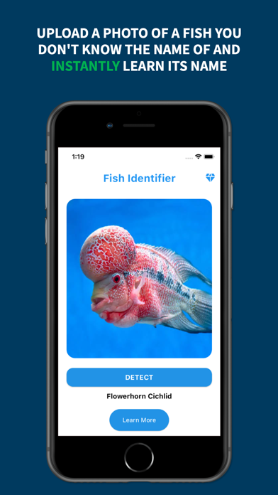 Fish Identifier - Scan With AI Screenshot