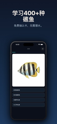 Below: 潜水日志 & 鱼类识别 screenshot