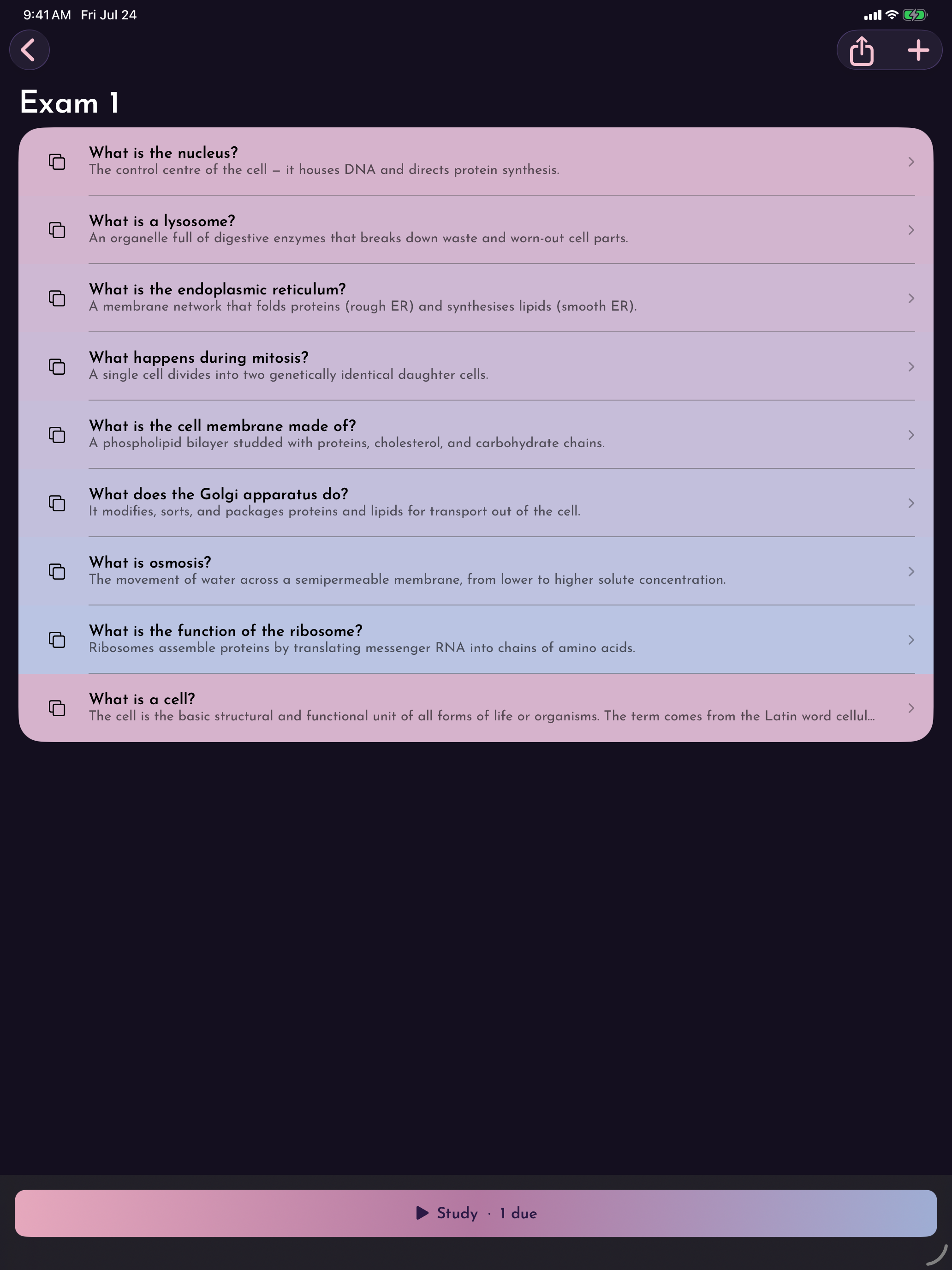 DecoEcho: Flashcards & Study screenshot 11