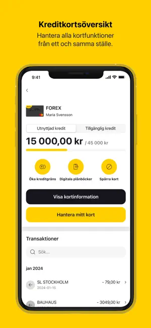 FOREX Kreditkort iPhone screenshot 3