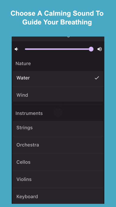 Pocket Breath Coach Screenshot
