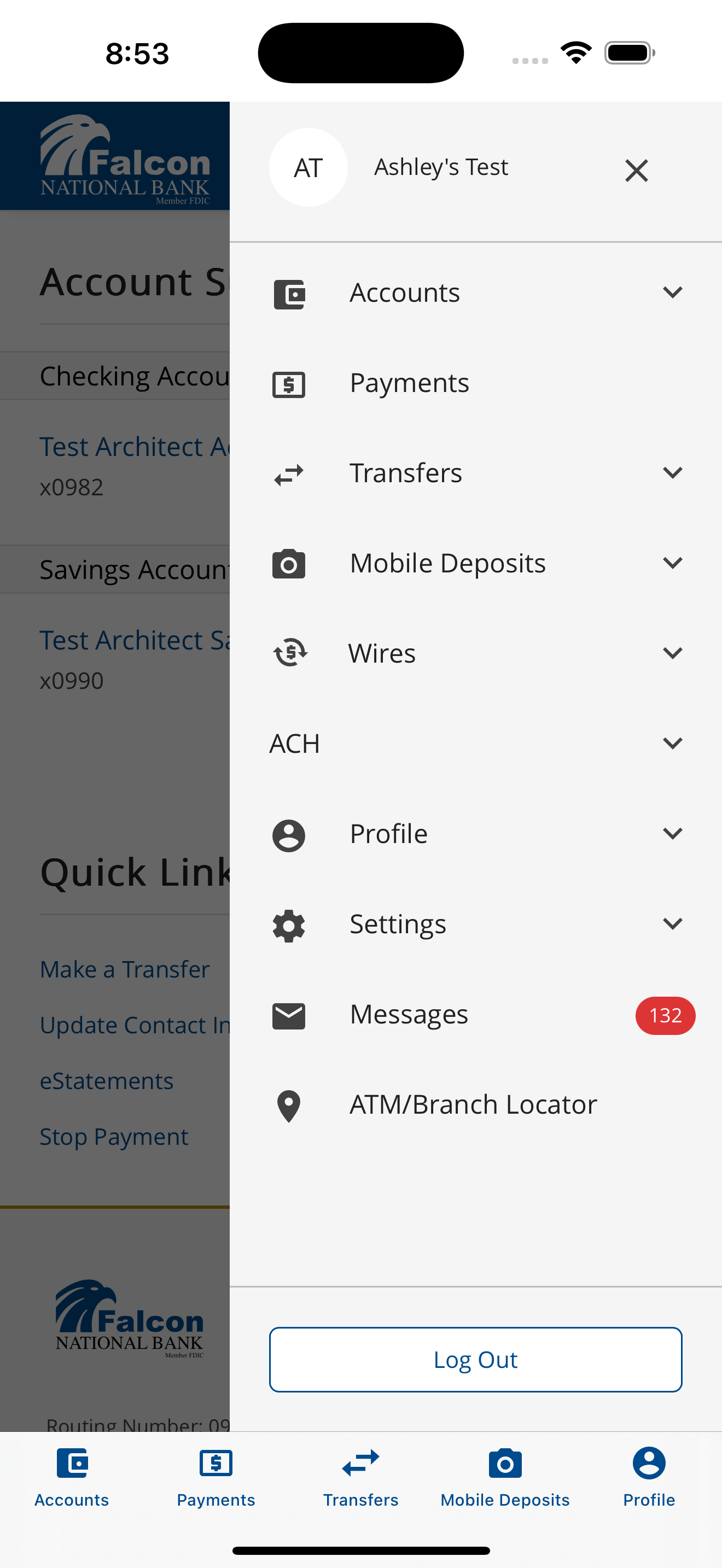 Falcon National Bank screenshot 5