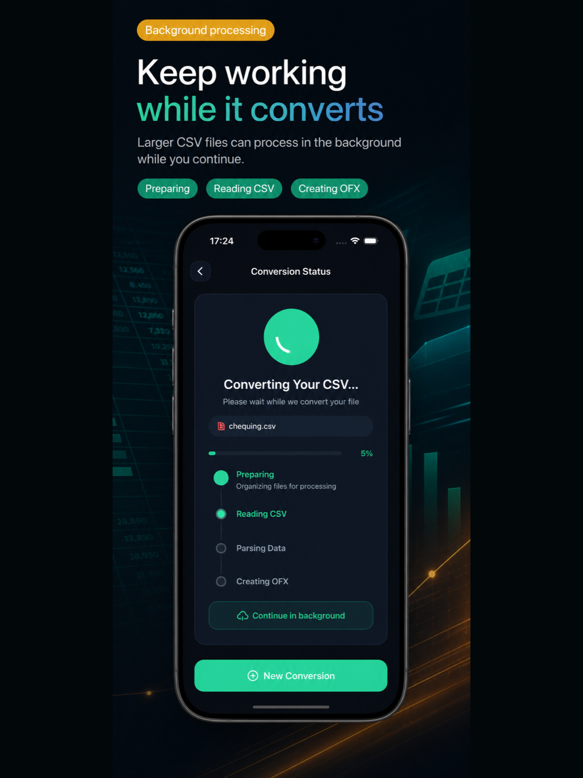 CSV to OFX Converter screenshot 10