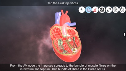 Heart - An incredible pump Screenshot