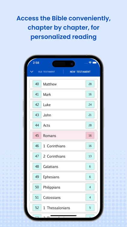 New International Version Pro