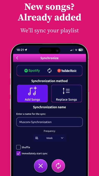 MusConv: Playlist Transfer Screenshot