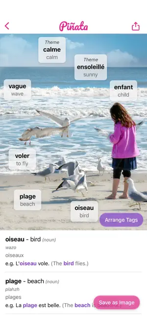 Piñata - AI Vocabulary Tagging screenshot 3