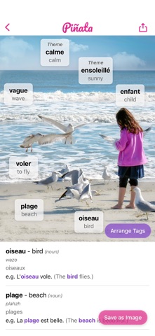 Piñata - AI Vocabulary Tagging screenshot