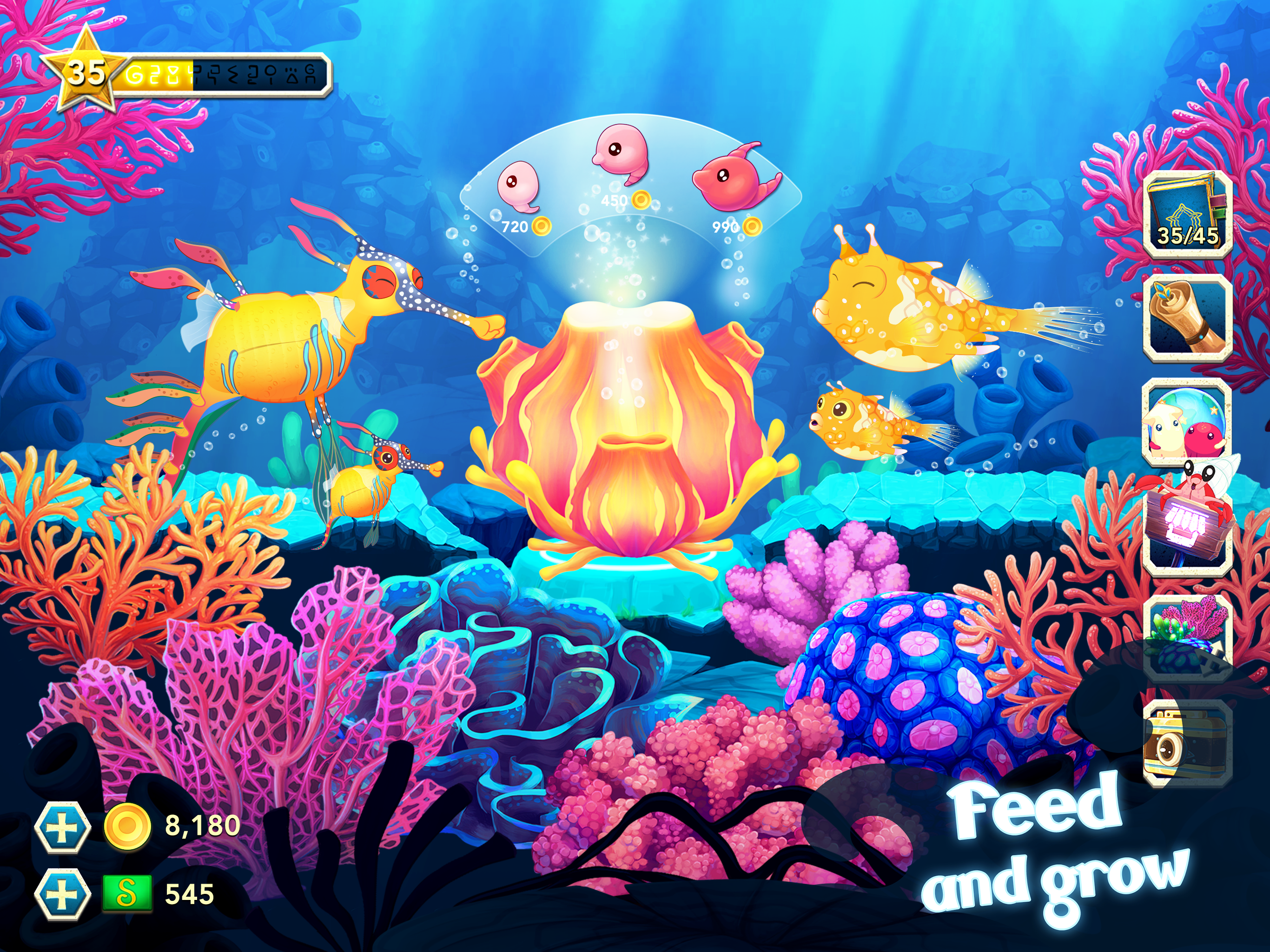 Splash — Fish Aquarium