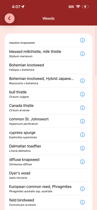 EDDMapS Biocontrol Screenshot 5 of 7