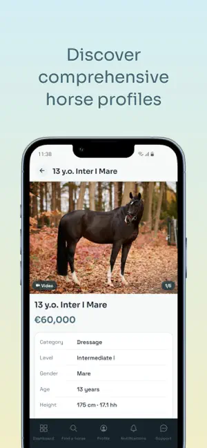 HORSES.SALE screenshot 3