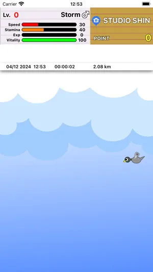 Race Pigeon screenshot 3