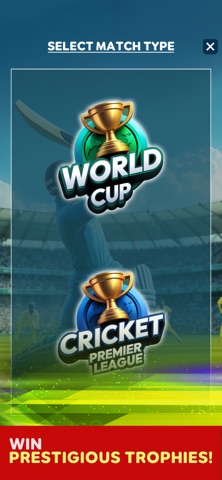 Cricket Board League screenshot