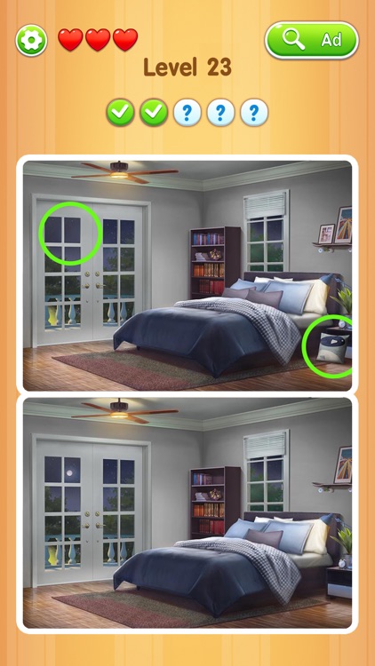 Detect It Picture Puzzle