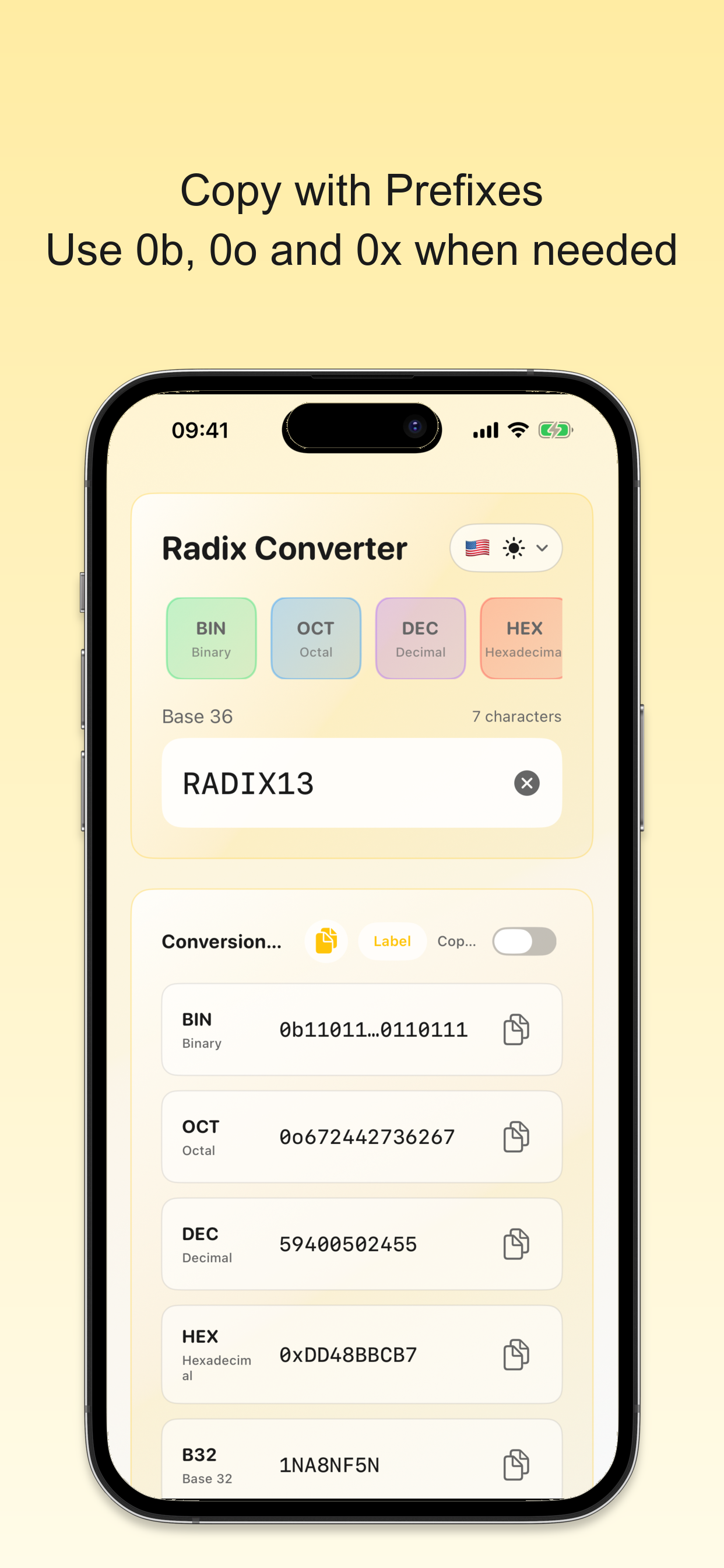 Radix Binary Converter screenshot 6