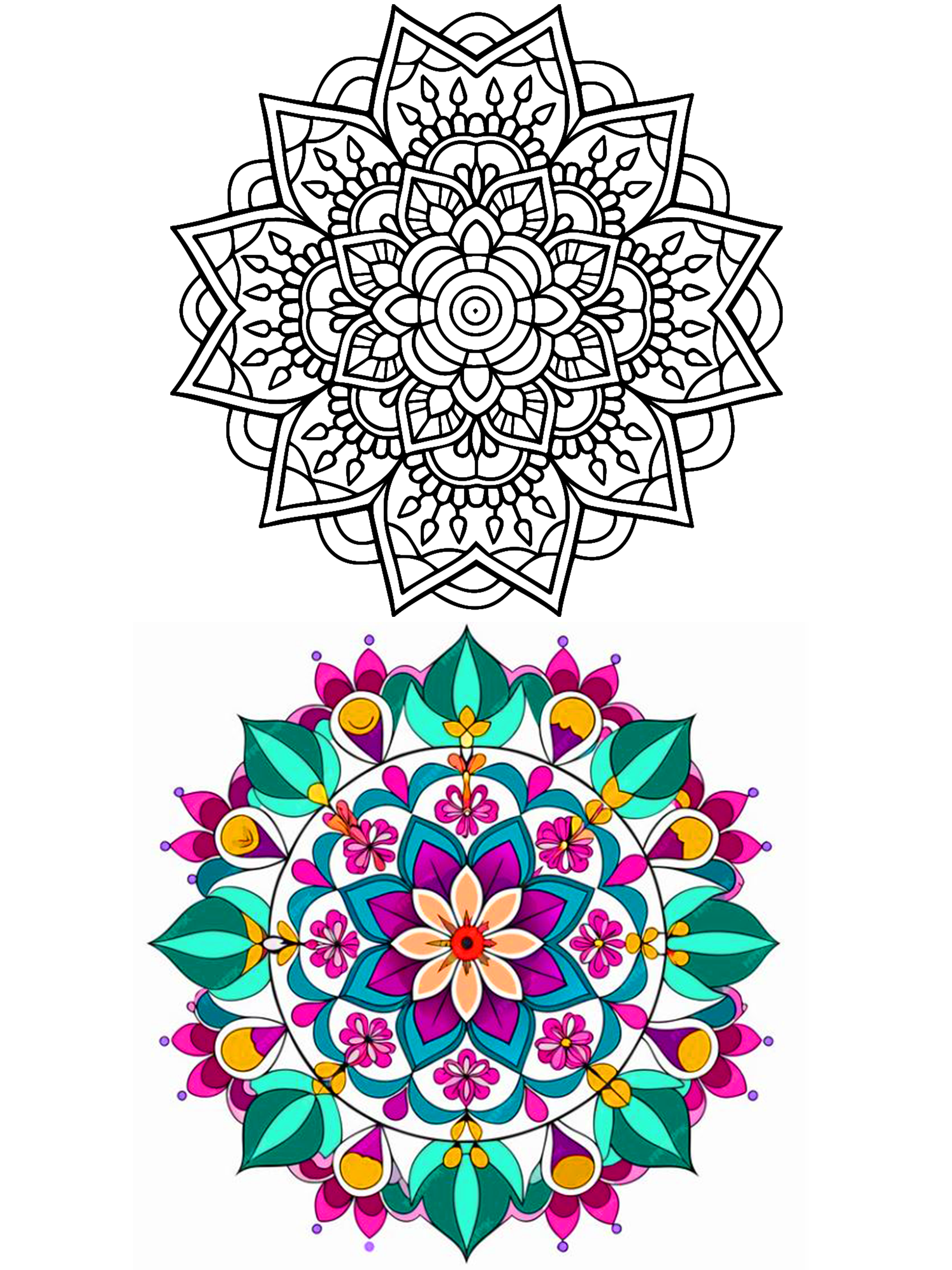 Mandala Color by Number Book