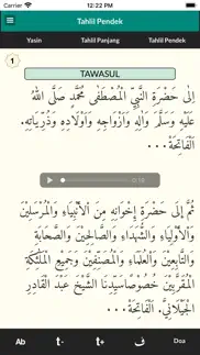 surat yasin dan terjemah iphone screenshot 3