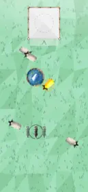 Wool Patrol 1