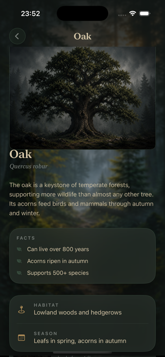 Forest Sign Screenshot 3 of 10