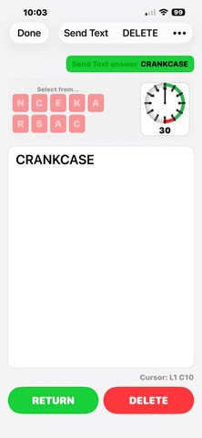 PuzzleNine30 screenshot 6