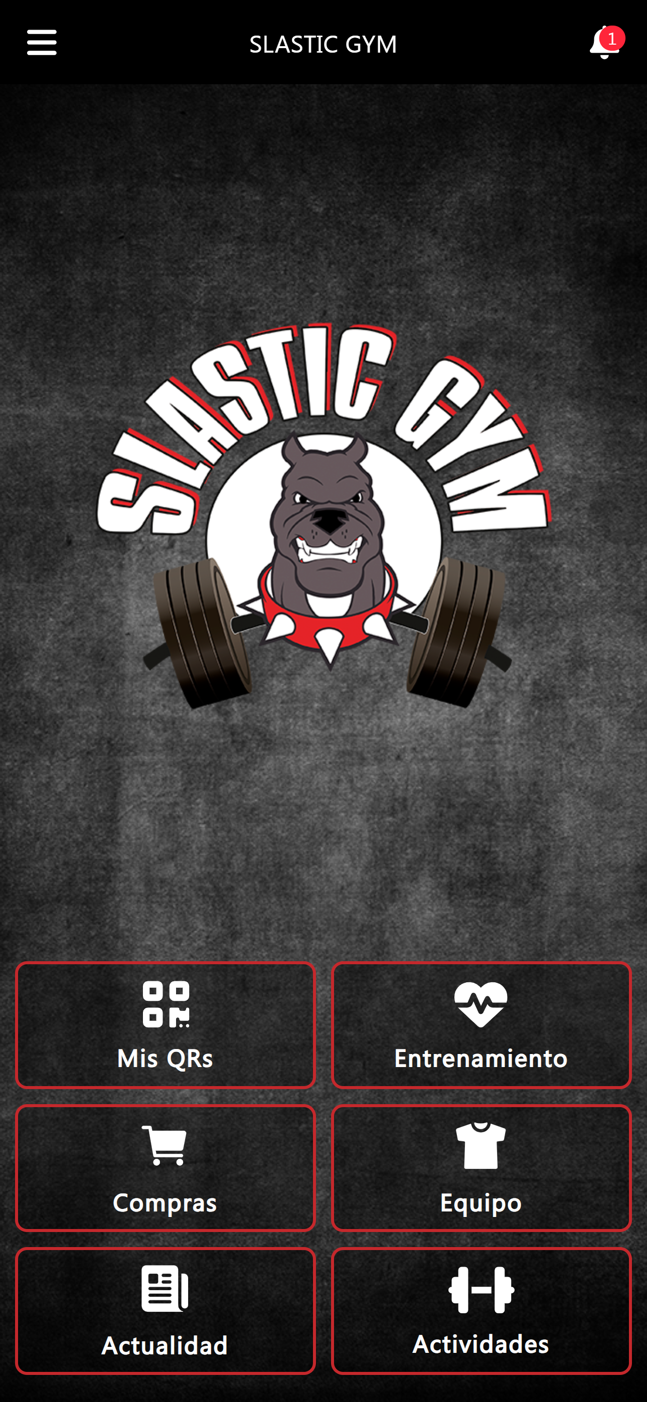 SLASTIC GYM