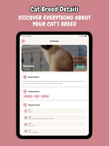 Meow AI: Cat Translator & Care iPad screenshot