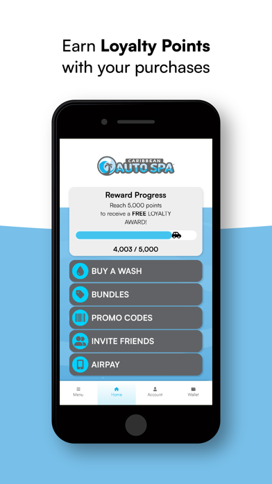 Caribbean Auto Spa Screenshot