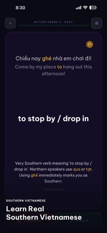 Learn Vietnamese: Saigon Screenshot 8 of 9