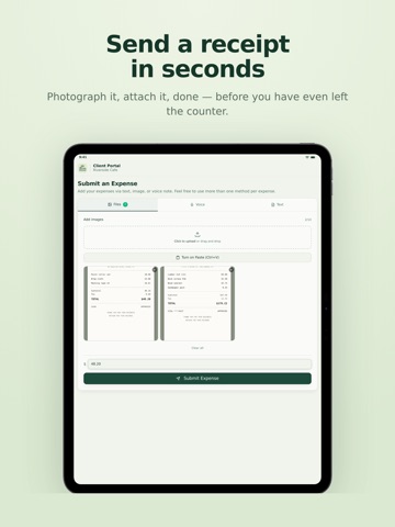 Zenfo Expenses iPad screenshot
