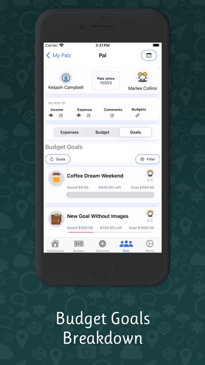 SavingPalz: Expense Tracker screenshot-3